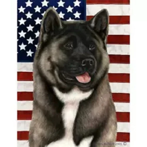 Patriotic (D2) House Flag - Silver Akita