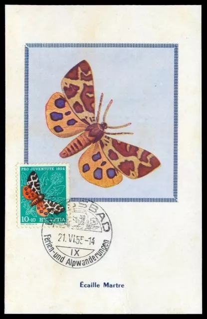 1954, Schweiz, 603 Maxi - 2466369