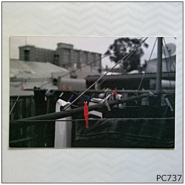 Hoist David Pledger FED Square OCCUPY Program Advert Postcard (P737)