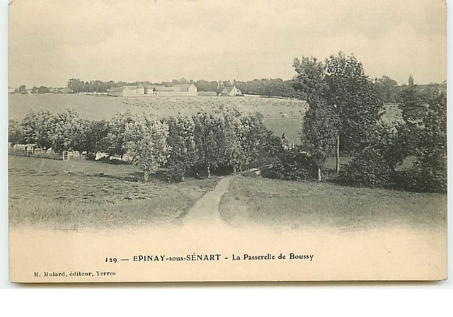 EPINAY SOUS SENART - La Passerelle de Boussy - 17896