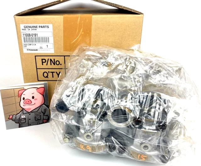 Kawasaki 2009 KX250F Cylinder Head and Gasket Kit 11008-0191 New OEM