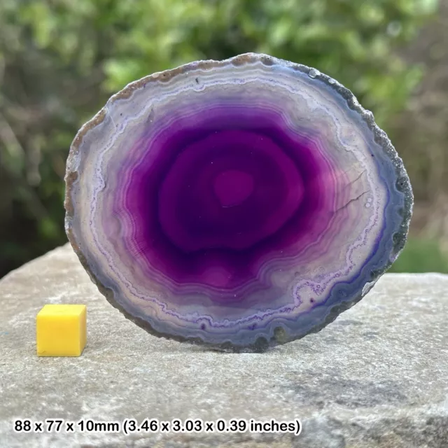 Purple Agate Hardstone - Jewellery Volcanic Rock Slice Spiritual Healing