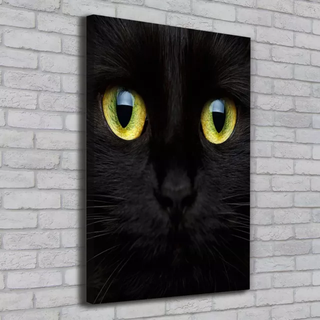 Cuadros Modernos Sobre Lienzo Para el Salón 70x100 Ojos de gato