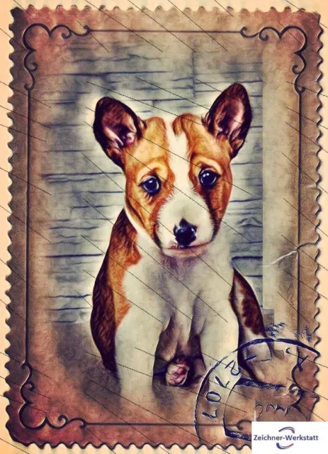 Basenji Kongo Terrier welpe 15