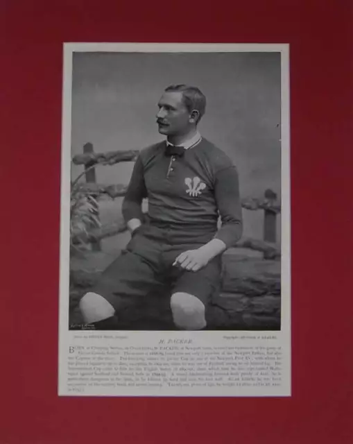 H. Packer, Newport & Wales Genuine Antique Rugby Print 1896 Famous Footballers