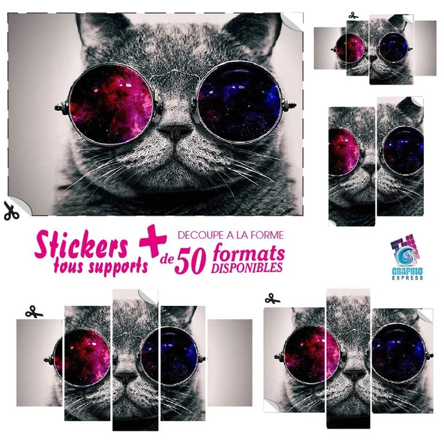 STICKERS CHAT Psychedelique Art Deco Murale Animaux Ca05