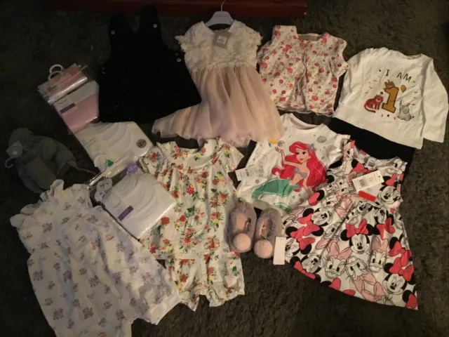 Baby Girls Clothes Bundle 12-18-24 Months New
