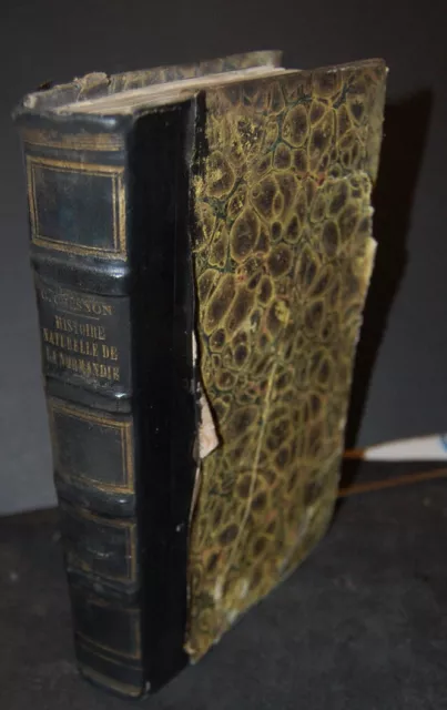 Essai sur l'Histoire naturelle de la Normandie C G Chesnon 1834 avec 6 planches