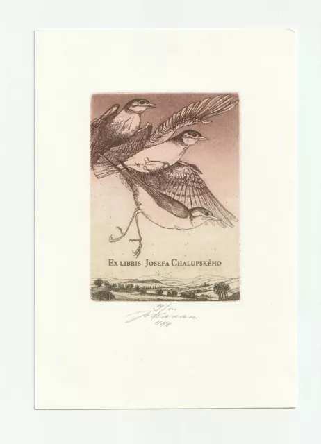 JAN KAVAN: Exlibris für Josef Chalupsky