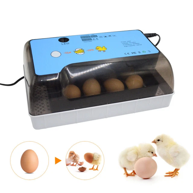 12 EGG INCUBATOR Quail Duck Goose Hatcher Digital Automatic Turner Temp
