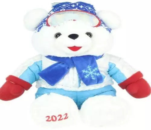 2022 WalMART CHRISTMAS Snowflake TEDDY BEAR White Boy 20" Blue outfit Brand New