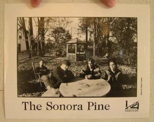 The Sonora Pine Presser Kit Photo Rodan Tara Jane O'Neil