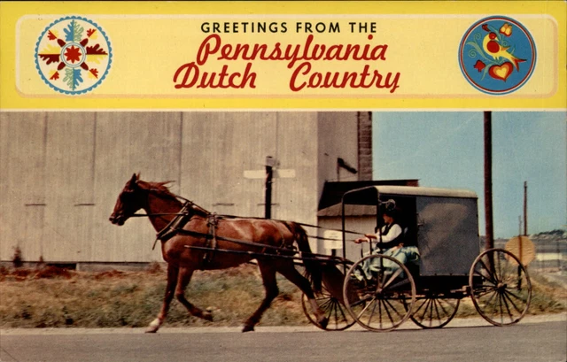 Greetings Pennsylvania Dutch Country Family horse carriage ~ hex signs