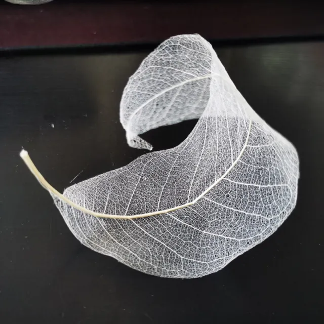 100pcs Natural Magnolia Leaf Skeleton Vein Craft DIY Scrapbooking Card White Kit