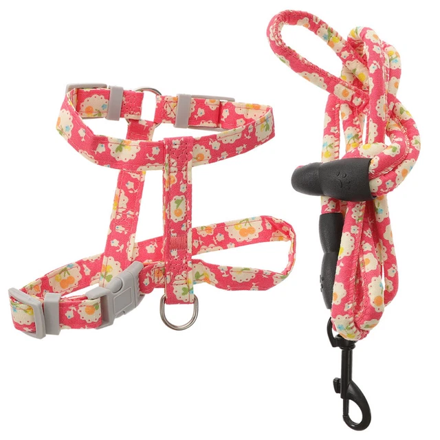 Escape Proof Catgabeless cómoda mascota - cuerda de linaza ajustable