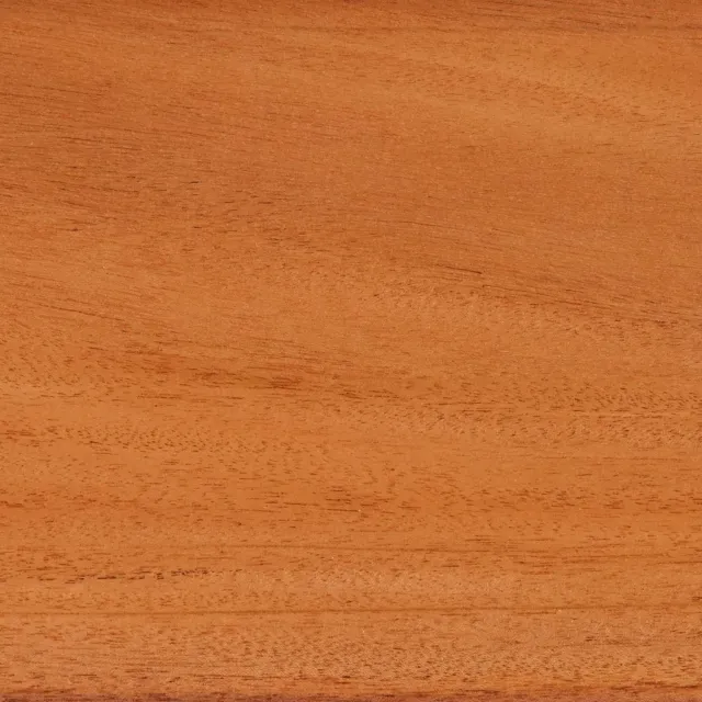 X10 Olive Wood Logs for Wooden Decoration Ø40mm Th. 2.5cm
