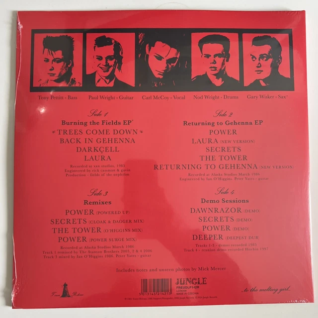 FIELDS OF THE Nephilim Burning the Fields RSD24 rot Vinyl 2LP versiegelt Neu EUR 46,62 PicClick DE