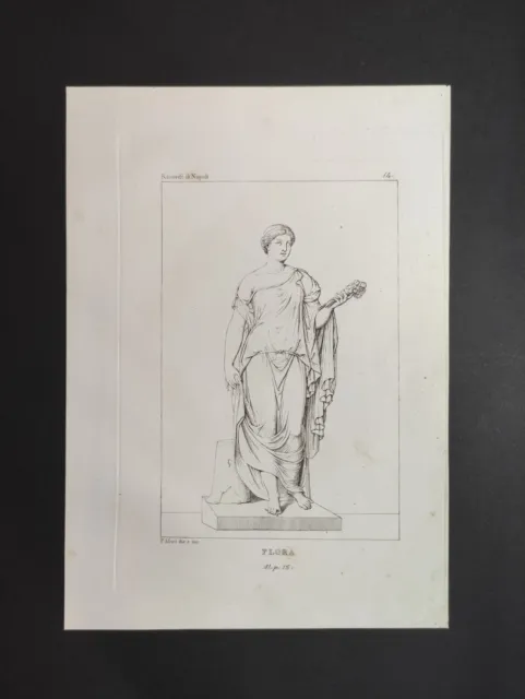 Flora, Ricordi di Napoli Martorana, Mori, Stampa 1853