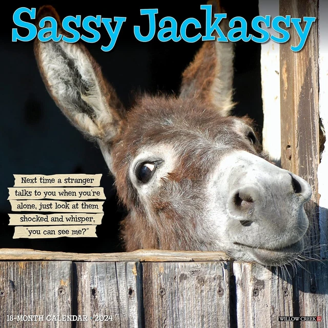 Sassy Jackassy - 2024 Calendario da Parete - Nuovo - 37485