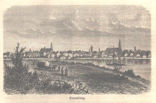 "Gesamtansicht von Straubing mit der Isar" Original Holzstich von 1878