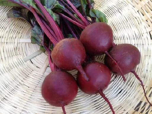 Beets Detroit Dark Red 35 - 8000 Seeds Perfect Globes Frost Hardy Most popular!