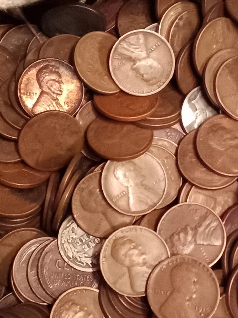 Lincoln wheat cent lot 24+ LBS pennies from old house Wheat Penny Vintage coins 5