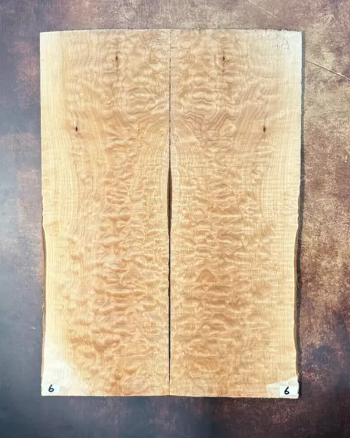 Muschelahorn Droptop 4A |  Quilted Maple Droptop 4A | Tonholz | Tonewood | #6