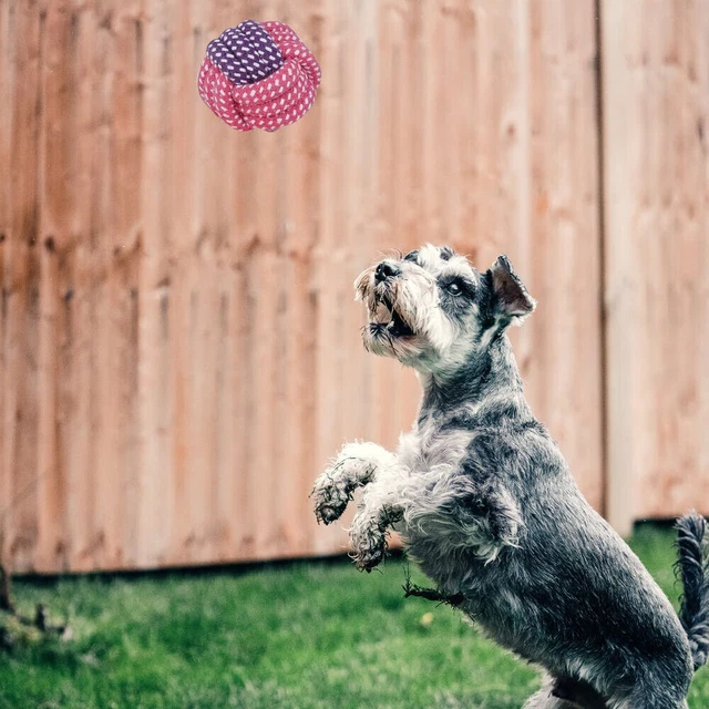 15er/Set Hundespielzeug Hund Welpen Kauen Baumwolle Seile Spielzeug für Haustier 12