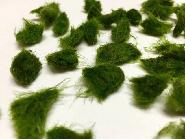 Marimo Moss 20 Pieces 0.25-0.5 inch  Cladophora Live Plant Aquarium in USA.