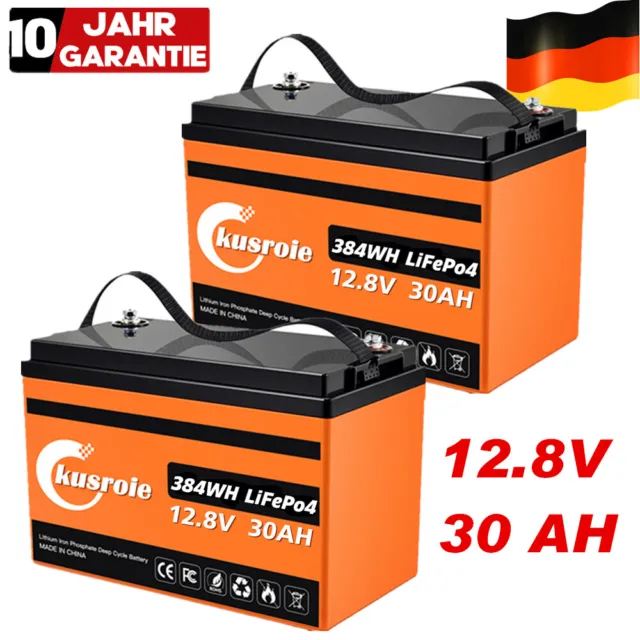 12V 30Ah Lithium Batterie LiFePO4 Akku BMS für Wohnmobil Solarbatterie Boot RV