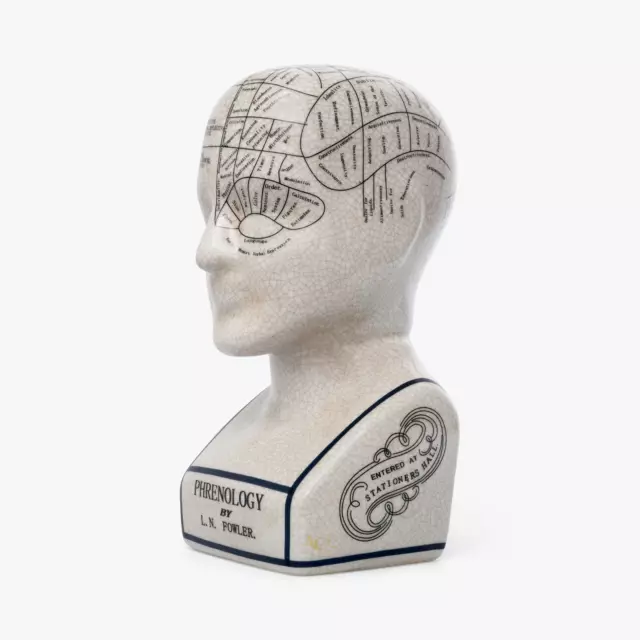 Phrenology Head 9" L.N Fowler Ceramic Crackle Glaze Ornaments Figurines Bust