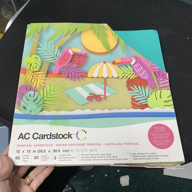 Paquete de cartulina American Crafts 12x12" tropical 215gsm, 60 piezas 20 colores