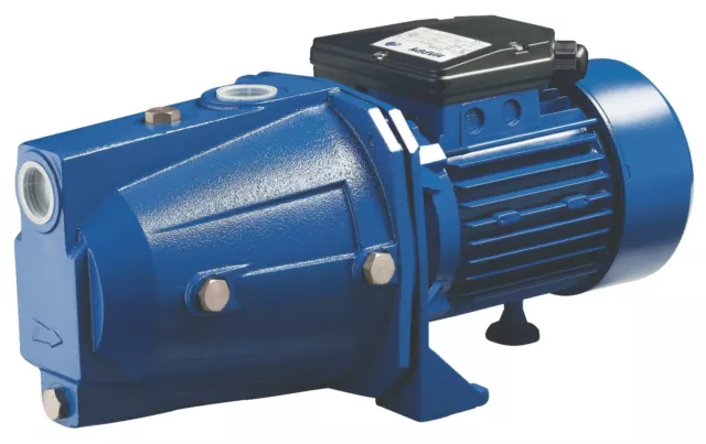 1 HP Self Priming Shallow Well Jet Pressure Pump 110V/230V