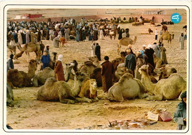 CPM AK MAROC - Typique-Souk des chameaux (329146)