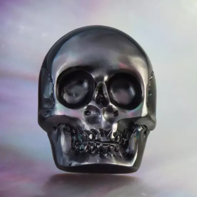 Skull Design Carving Cabochon Black Pen Pinna Shell & Paua Abalone 3.34 g