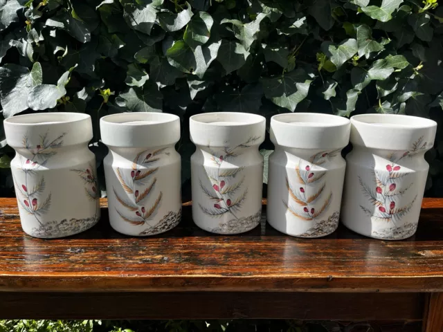 Vintage RADFORD England Hand  Painted Kitchen Storage Jars, Set of Five