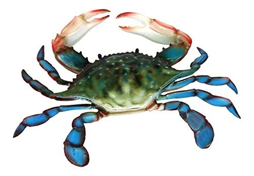 6 inch Maryland Blue Crab Beach Tiki Bar Wall Decor