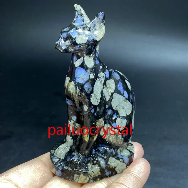 1pc Natural Rhyolite Hairless cat Quartz Crystal Skull Carved Figurines Reiki 3"