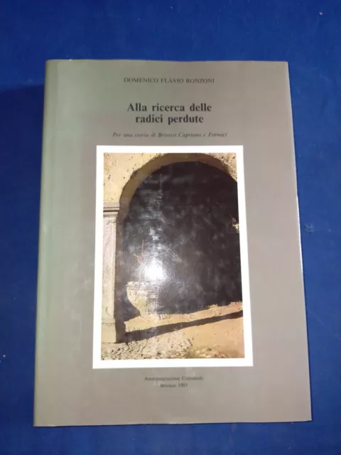 Alla Ricerca Delle Radici Perdute Domenico Flavio Ronzoni Briosco 1985