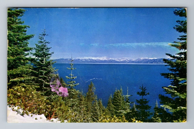 CA- California, Lake Tahoe, Vintage c1957 Postcard
