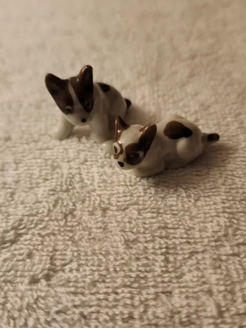 https://www.picclickimg.com/BPYAAOSwiSFlBDsp/Miniature-Brown-and-White-Porcelain-Puppies-2.webp
