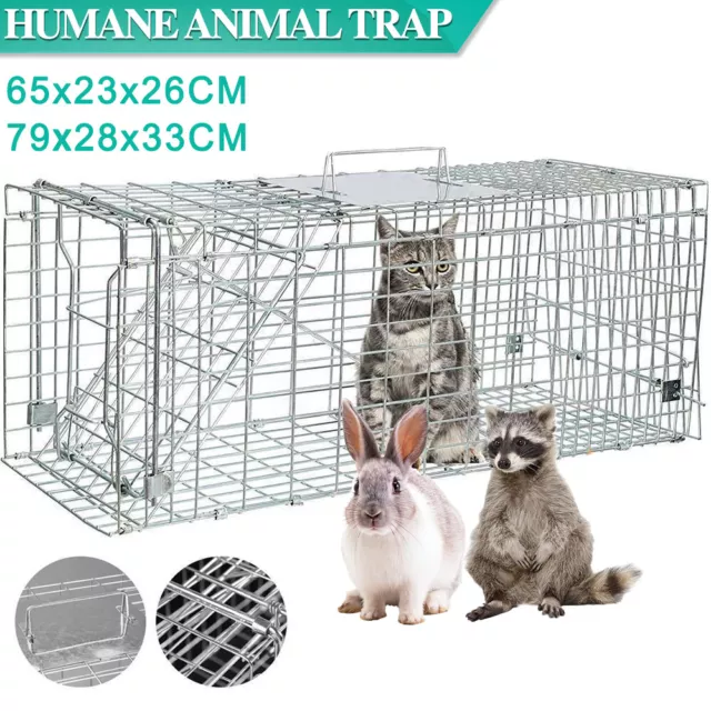 Medium One Door Catch Release Heavy-Duty Humane Cage Live Animal Trap for  Rats, Raccons, and Other Same Sized Animals