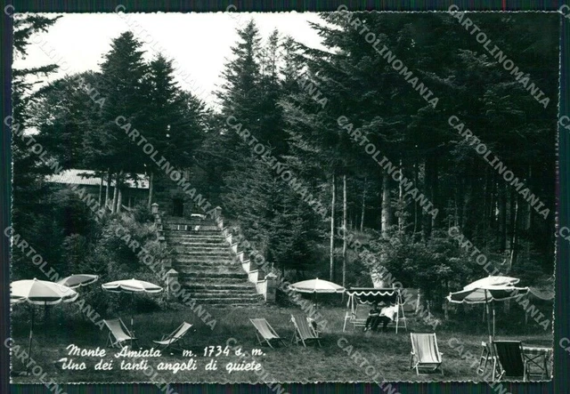 Grosseto Monte Amiata Abbadia San Salvatore Foto FG cartolina KV7997
