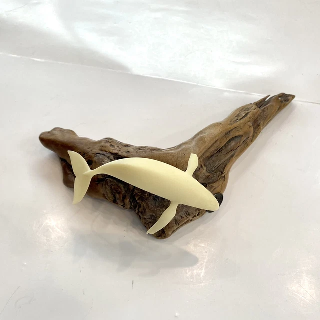 John Perry Shark Sculpture Burl Wood Driftwood Sea Ocean Burlwood