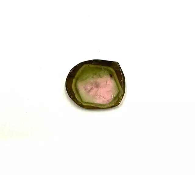 Natural Watermelon Tourmaline Slice Loose Gemstone 11 13 MM 2.50 CT