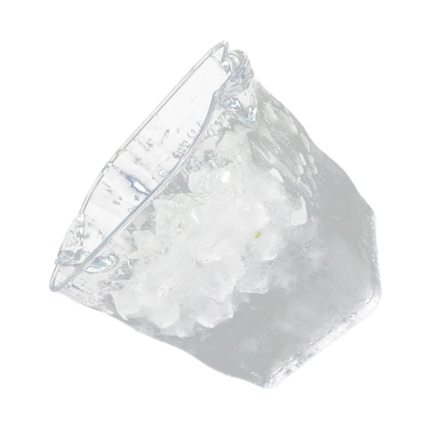 YankMooM 20 scatole singole per cupcake, trasparenti per cupcake