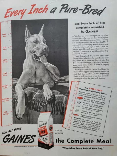 1944 Gaines Meal dog food pure bred Great Dane dog vintage ad