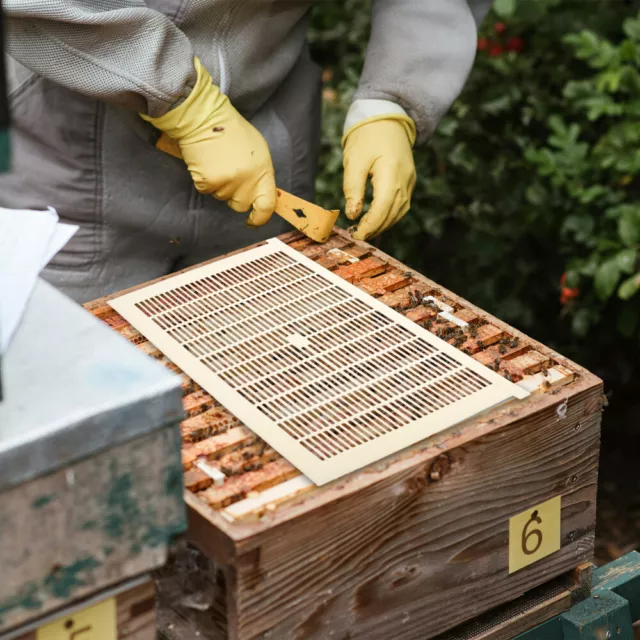 Aumentar la producción de miel con excluidor de juntas de apicultura