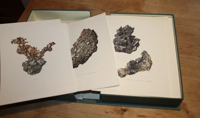 洋書 SAMMLUNG NATURKUNDLICHER TAFELN Sammlung naturkundlicher Tafeln Sträucher und Bäume