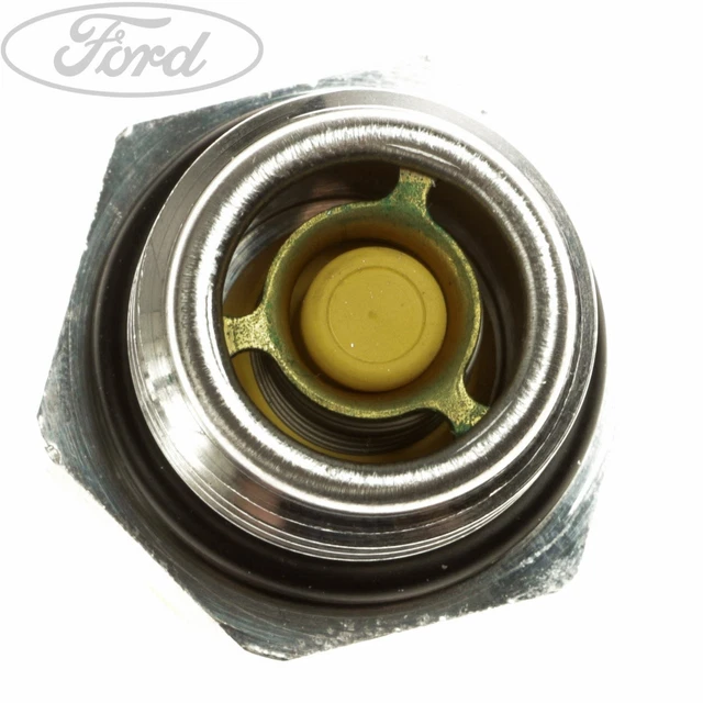 GENUINE FORD FOCUS MK2 C-Max Vacuum Pump Non Return Valve 1862312 £36. ...